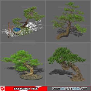 Bonsai Tree - Sketchup Models