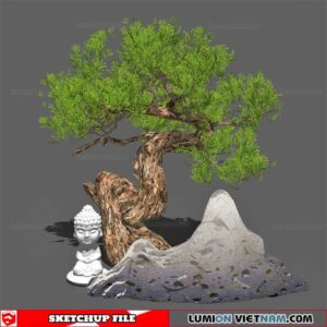 Bonsai Tree - Sketchup Models