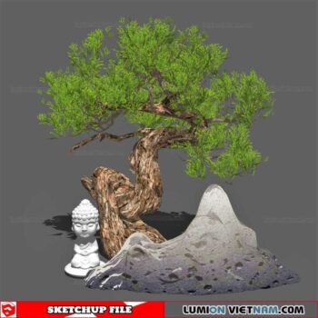 Bonsai Tree - Sketchup Models