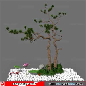 Bonsai Tree - Sketchup Models