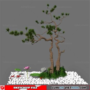 Bonsai Tree - Sketchup Models