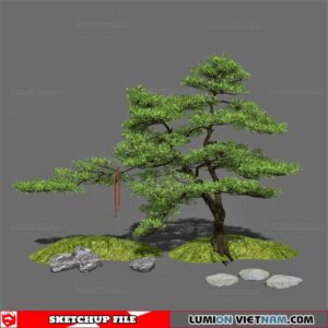 Bonsai Tree - Sketchup Models