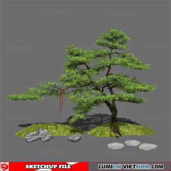 Bonsai Tree - Sketchup Models