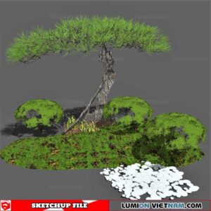 Bonsai Tree - Sketchup Models