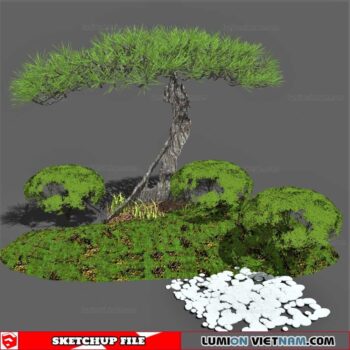 Bonsai Tree - Sketchup Models