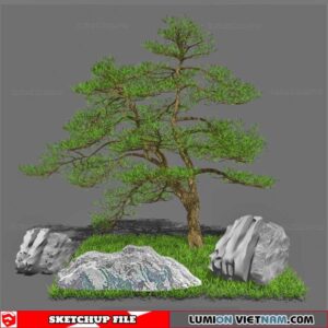 Bonsai Tree - Sketchup Models