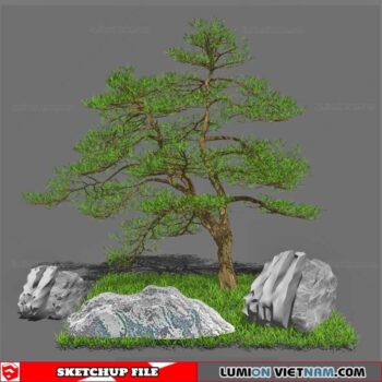 Bonsai Tree - Sketchup Models