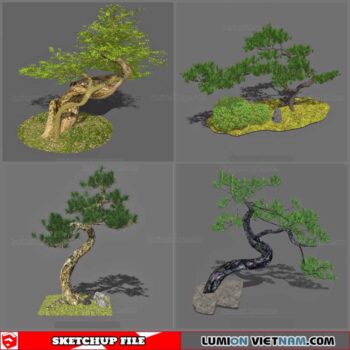 Bonsai Tree - Sketchup Models
