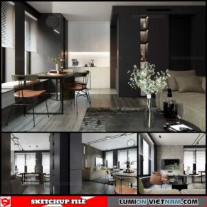 Apartment - Sketchup Interior Scene By Nguyen Long