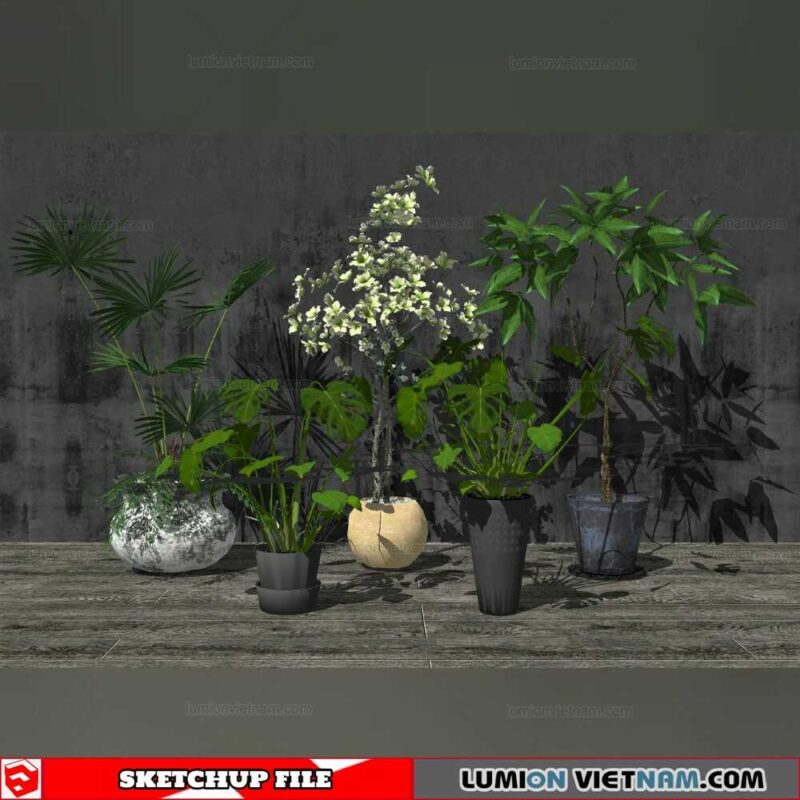 Plant Pots - Sketchup Models