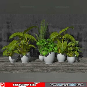 Plant Pots - Sketchup Models