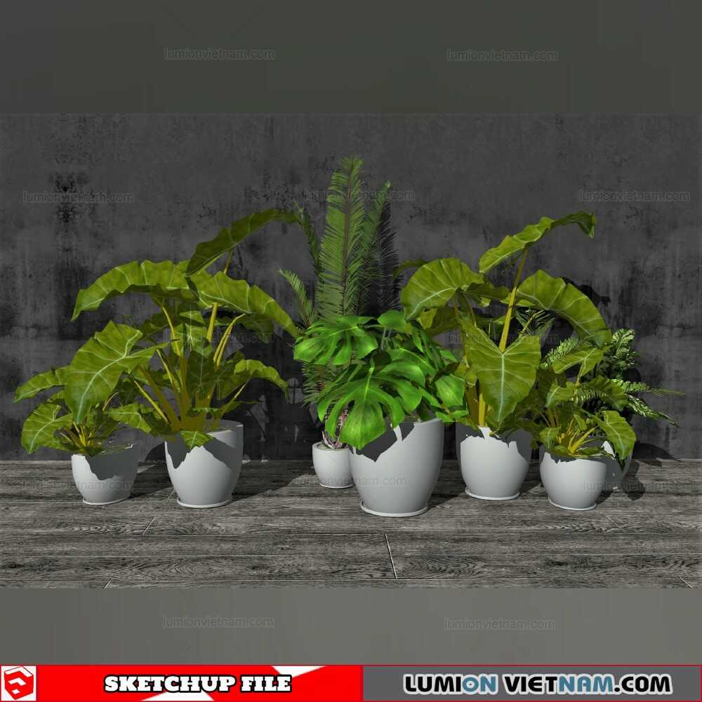 211215-Plant-Pots-(11)-Sketchup-Models