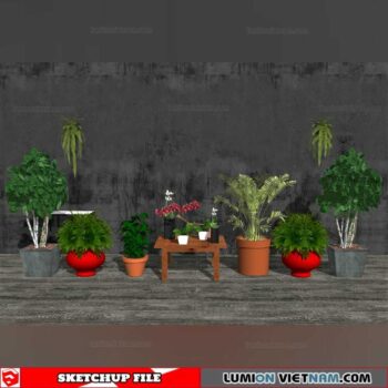 Plant Pots - Sketchup Models