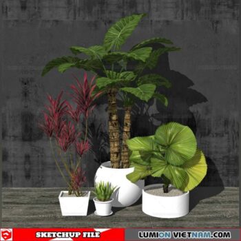 Plant Pots - Sketchup Models