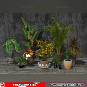 Plant Pots - Sketchup Models