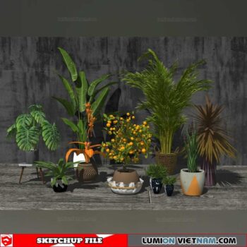 Plant Pots - Sketchup Models