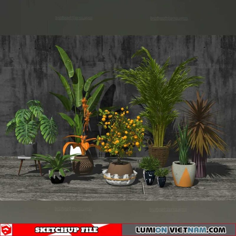 Plant Pots - Sketchup Models
