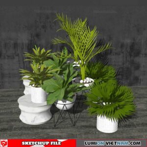 Plant Pots - Sketchup Models