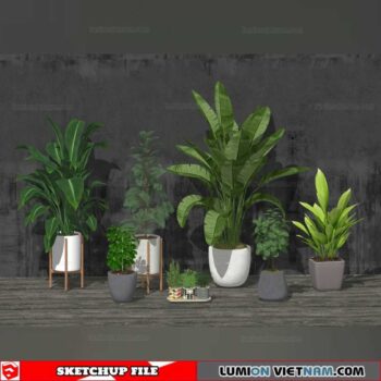 Plant Pots - Sketchup Models