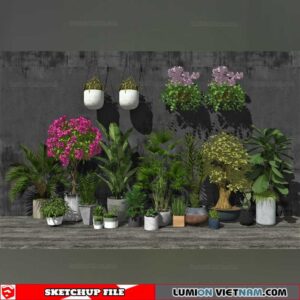 Plant Pots - Sketchup Models