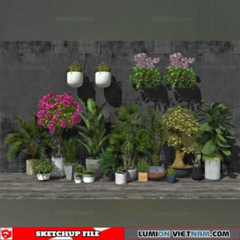 Plant Pots - Sketchup Models