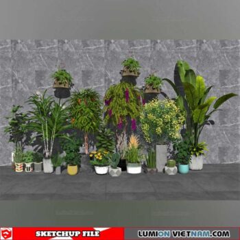 Plant Pots - Sketchup Models