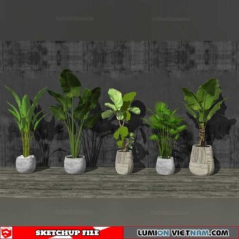 Plant Pots - Sketchup Models