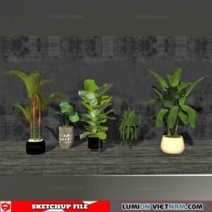 Plant Pots - Sketchup Models