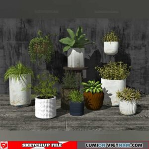 Plant Pots - Sketchup Models