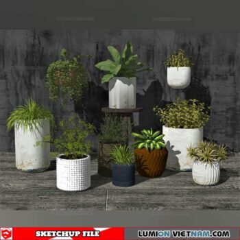 Plant Pots - Sketchup Models