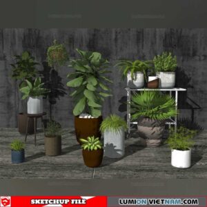 Plant Pots - Sketchup Models
