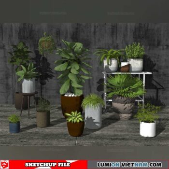 Plant Pots - Sketchup Models