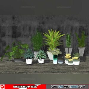 Plant Pots - Sketchup Models