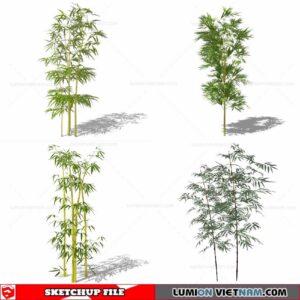Bamboo - Sketchup Models By Cuong Covua
