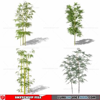 Bamboo - Sketchup Models By Cuong Covua