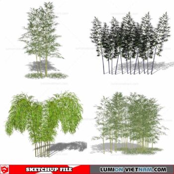 Bamboo - Sketchup Models By Cuong Covua