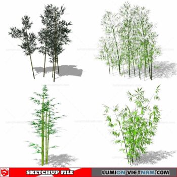 Bamboo - Sketchup Models By Cuong Covua