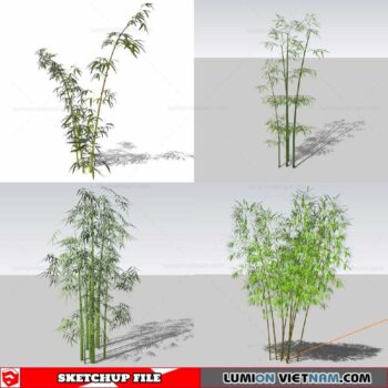 Bamboo - Sketchup Models By Cuong Covua