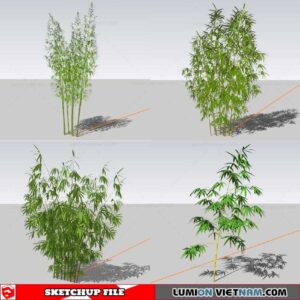 Bamboo - Sketchup Models By Cuong Covua