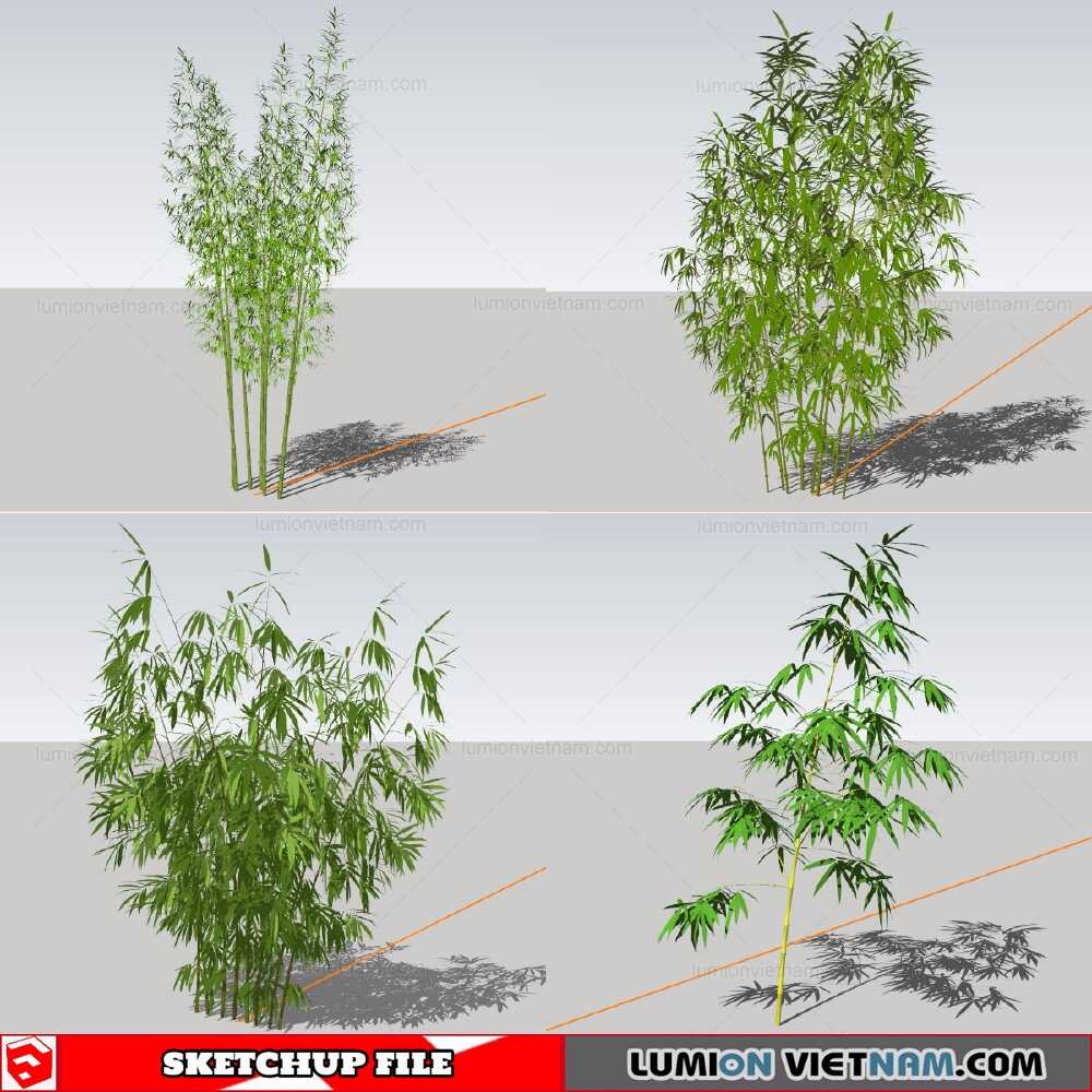 211230-Bamboo-(6)-Sketchup-Models