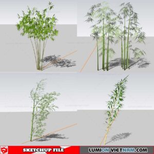 Bamboo - Sketchup Models By Cuong Covua