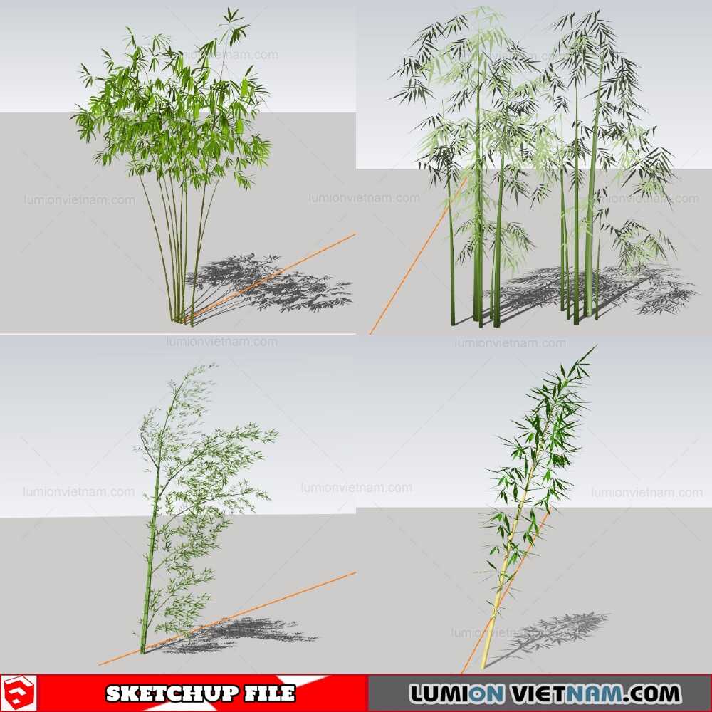 211230-Bamboo-(7)-Sketchup-Models