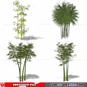 Bamboo - Sketchup Models By Cuong Covua