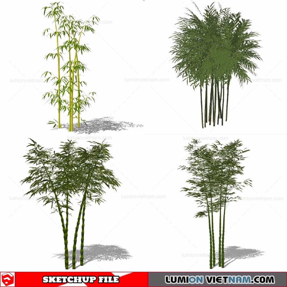 211230-Bamboo-(8)-Sketchup-Models