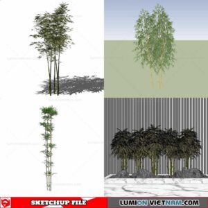 Bamboo - Sketchup Models By Cuong Covua
