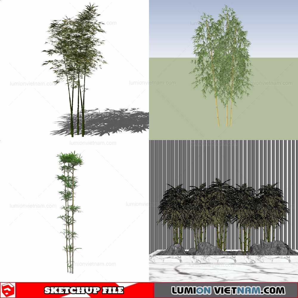 211230-Bamboo-(9)-Sketchup-Models