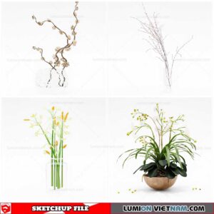 Flower Vase - Sketchup Models By Cuong Covua