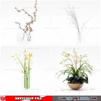 Flower Vase - Sketchup Models By Cuong Covua