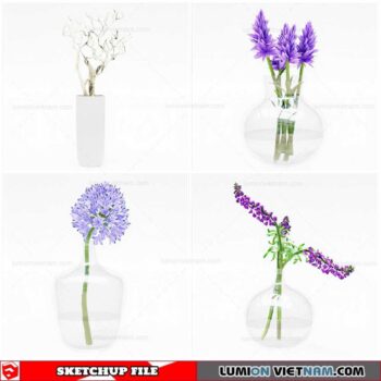 Flower Vase - Sketchup Models By Cuong Covua