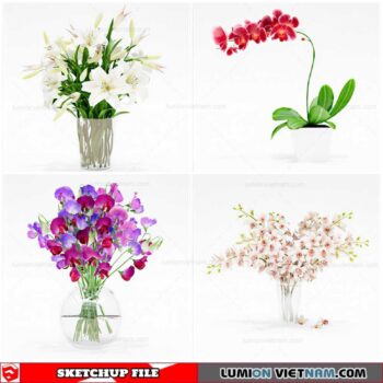 Flower Vase - Sketchup Models By Cuong Covua